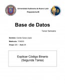 Codigo Binario Base de Datos