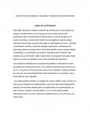 Socio antropologia trabajo de incestigcion