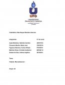 Plan de mercadotecnia