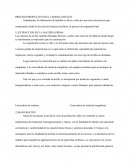 PROCESO PRODUCTIVO DEL LADRILLO HUECO