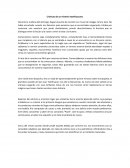 Cronicas de un misterio teotihuacano