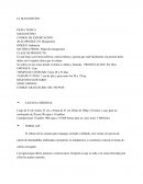 EL MANGOSTINO FICHA TENICA