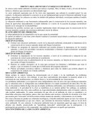 EL NUEVO DISEÑO Y REGLAMENTO DE UN PARQUE ECOTURÍSTICO