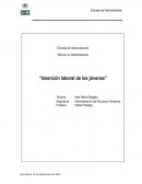 Inserción laboral de los jóvenes