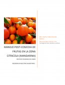 EL NUEVO MANEJO POST-COSECHA DE FRUTAS EN LA ZONA CITRICOLA (MANDARINA)