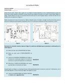 Evaluación Ciencias II