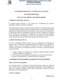 MANUAL PARA PROYECTOS INTEGRADORES