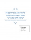 Sigem juego de empresas informe ejecutivo