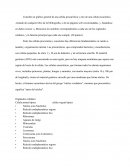 Orgánulos celulares.