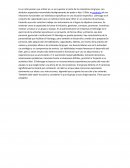 INFORMACION PARA EL ENSAYO