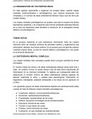 Negocios por internet LA ORGANIZACIÓN DE TUS PROPIAS IDEAS.