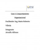 Caso 3. Comportamiento Organizacional