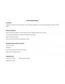 LOS CONTRATOS (DERECHO ROMANO)