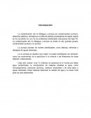 La contaminación del río Motagua