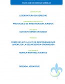 COMO INFLUYE LA LEY DE RESPONSABILIDAD JUVENIL EN LA DELINCUENCIA ORGANIZADA