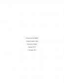 Evolucion de la calidad