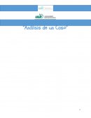 Analisis de un Caro