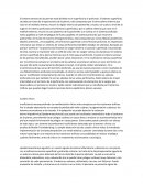 Sistema venoso