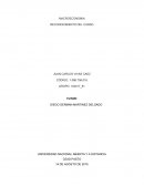 Comercio internacional UNIVERSIDAD NACIONAL ABIERTA Y A DISTANCIA