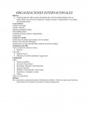 LAS ORGANIZACIONES INTERNACIONALES