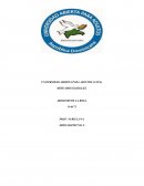 Un producto de manufactura local, que tenga potencial de exportación. Describa la funcionalidad del producto y las necesidades que atiende