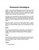 Planeación Estratégica SANKY