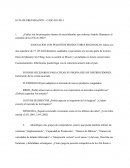 ¿Cuáles son las principales fuentes de incertidumbre que enfrenta Anatoly Shamanov al comando de Ice-Fili en 2002?