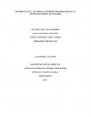 Regimen politico de Fancia y Alemania