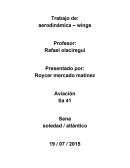 Trabajo de: aerodinámica – wings