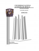 Inexistencia e ineficacia de las estipulaciones