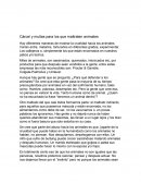 Carcel y multas para maltratadores de animales