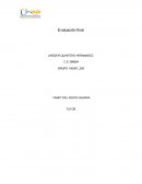 Carnavales de Negros y Blancos