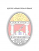 Practica N. 6: Agua de hidratación