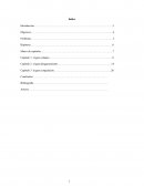 Análisis de las teorías de la extinción del universo