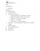 MOTIVACION MONOGRAFIA