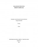 EVALUACION DE PROYECTOS MOMENTO NUMERO UNO