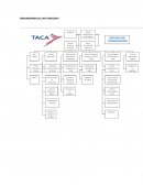 ORGANIGRAMA DE UNA AEROLINEA