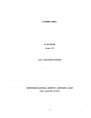 Algebra lineal Actividad