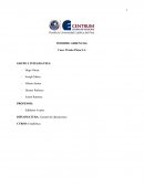 PIZZA INFORME GERENCIAL