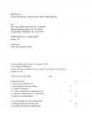 CAAP CENTRO DE ATENCIÓN DE APOYO PSICOSOCIAL