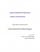 Estudio básico Chateau