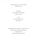 Accion psicosocial y contexto juridico