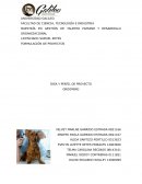FORMULACIÓN DE PROYECTOS IDEA Y PERFIL DE PROYECTO