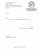 Análisis de las teorías de la extinción del universo