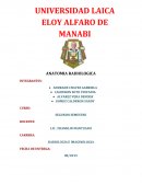 ANATOMIA RADIOLOGICA