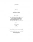 Momento Psicofisiológia