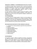 ANÁLISIS DE LA EMPRESA Y SU DISTRIBUCUION ACTUAL EN LA PLANTA