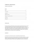 Trabajo De La Agroindustria