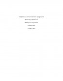 COMPRENDIENDO EL MACRO ENTORNO DE LA NEGOCIACIÓN