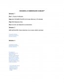 DESARROLLO EMBRIONARIO HUMANO39